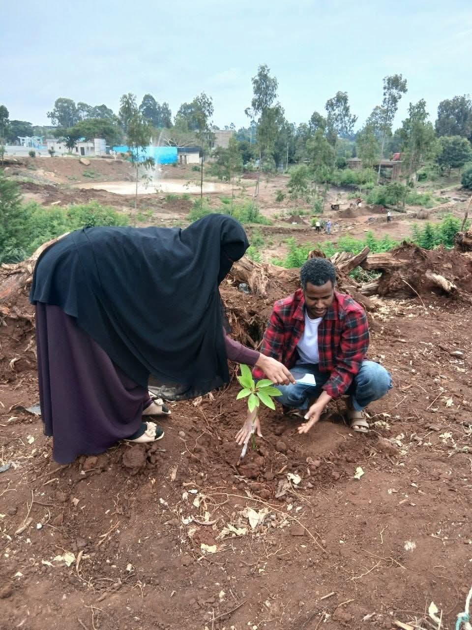 ‎የሳይንስና ኢንፎርሜሽን ቴክኖሎጂ ቢሮ የ3 ዓመታት ዕቅድ አፈጻጸም ግምገማ፣ የ2019 በጀት ዓመት ዕቅድ ግብ ስምምነት እና ችግኝ ተከላ መርሃ-ግብር አካሄደ