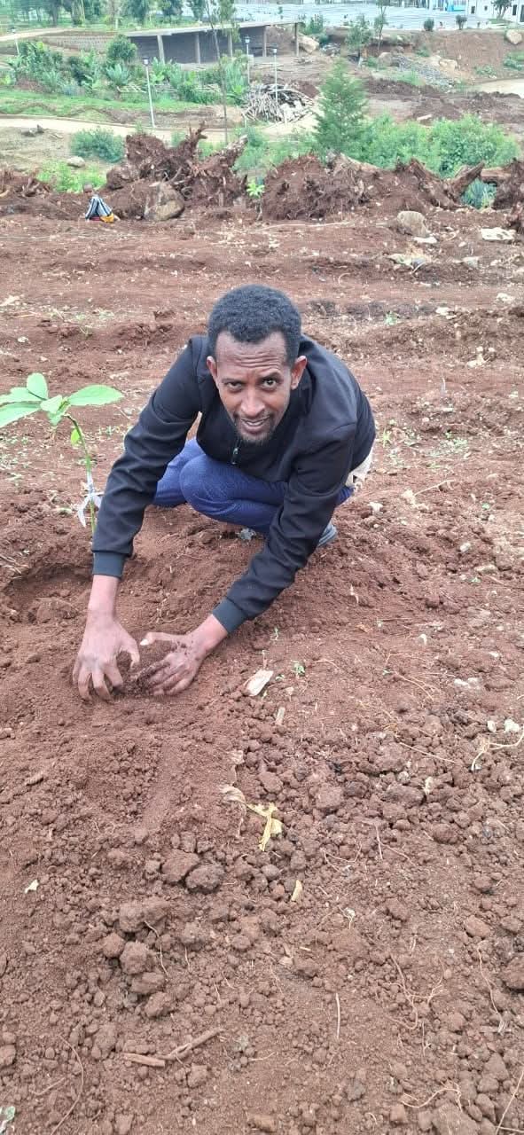 ‎የሳይንስና ኢንፎርሜሽን ቴክኖሎጂ ቢሮ የ3 ዓመታት ዕቅድ አፈጻጸም ግምገማ፣ የ2019 በጀት ዓመት ዕቅድ ግብ ስምምነት እና ችግኝ ተከላ መርሃ-ግብር አካሄደ
